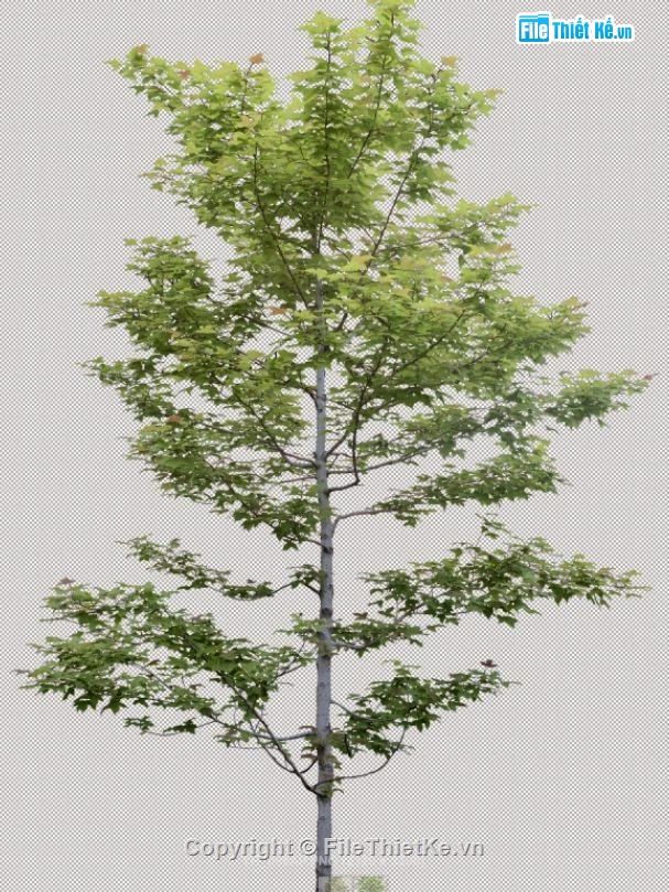 File thiết kế 400 MB Thư viện Photoshop cây - dạng PNG (bản đẹp)